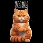 可愛的橘色肥貓!
