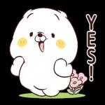 貓咪朋友 Ｑ萌可愛