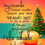 feliz navidad a todos🧑‍🎄🎄😄