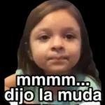QUE PASO MI SHULA