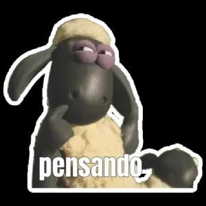 YP7N6U
