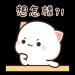 蜜桃貓和小伙伴戀愛了