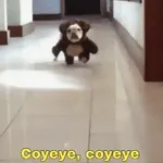 Coyeye, coyeye
