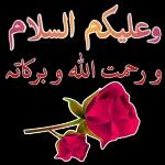 وعليكم السلام ورحمت الله وبركاته