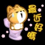 閃亮的日子=椪柑=