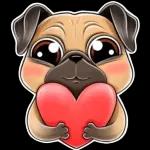 al cabo que ni queria