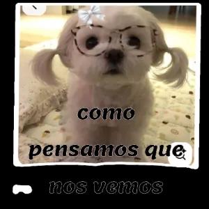 q9IccH