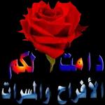 نسانهاییصباح الخ