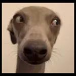 OUR3FELTCONDOLANCESTO THEBERIEVEDFAMILY