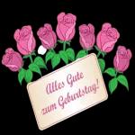 Verschiedene Arten von Aufklebern👇🏻