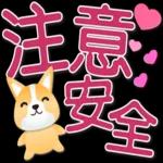 可愛柯基 大字超實用日常生活用語