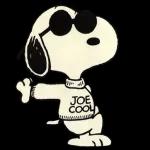 JOE COOL 2