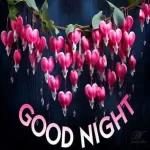 good night dear friend