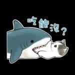 鯊魚貓咪 2