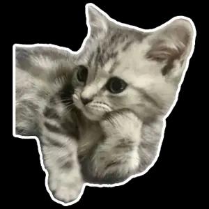 getsticker.com