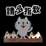 Picture Book CHIBINEKO Pop-up Stickers