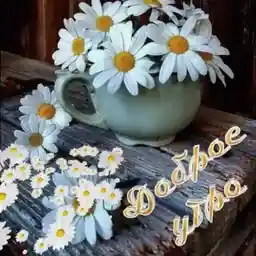 позитив