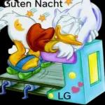 Schöne Abendstunden🌹