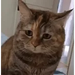 生气了？