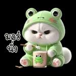 ข้าวต้ม ชุดกบ หน้าบูด