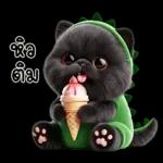 เหมียวดำ ไดโนเขียว