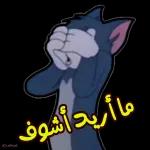 جديد 