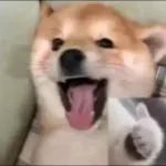 Ya cállese, Señora