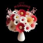 Buenos días mi amigo