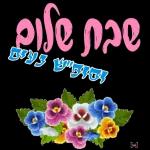 הורדה חינם, עדכונים יומיים, אין צורך בכניסה