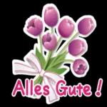 GG Werbung 2