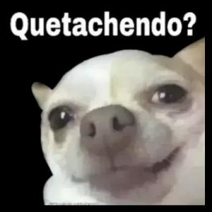 Quetachendo? - getsticker.com