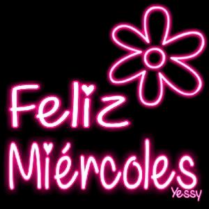 MT5rLe