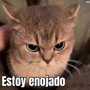 SBpzgw