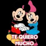 San Valentin ❤️