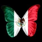 viva méxico