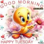 good morning