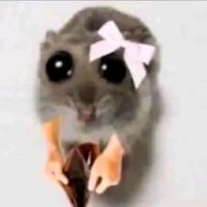 LPoowj