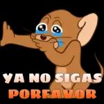 Wait... I'm confirming