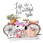 life is a beautiful ride