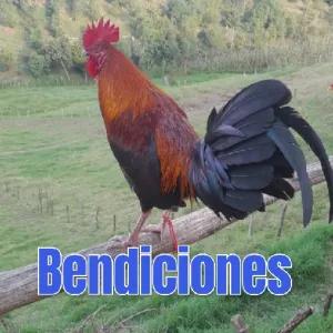 Bendiciones - getsticker.com