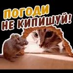 дло