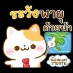 วันดี มากๆ ค่ะ
