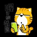 貓爪抓 -手機一把抓