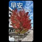 早安這世界(卡地夫) 5