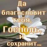 ватсап