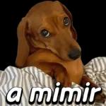 se nao gosta respeita