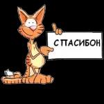 Сама придумала, сама обиделась