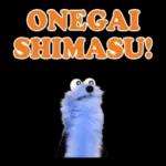  Talking PUPPET SUNSUN