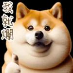 圓柴柴4：柴腹自由 薯條加大