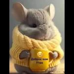 Доброе утро